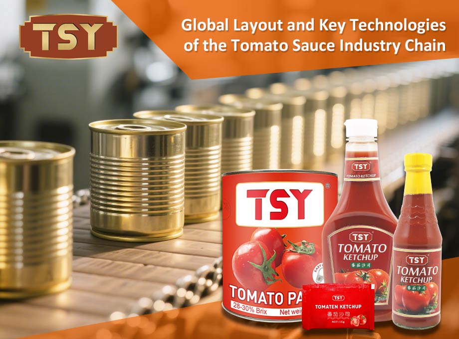 Globales Layout und Schlüsseltechnologien der Tomatensauce -Industriekette